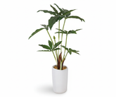 Artificial Cut Leaf Bonsai Tree - 1.3ft